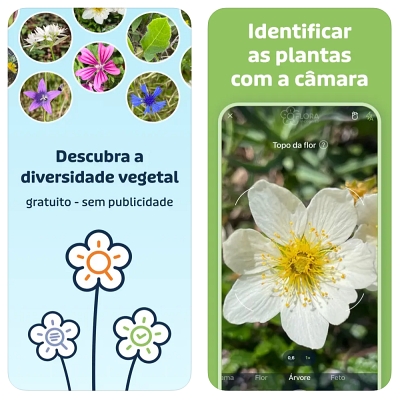 Aplicativos gratuitos para identificar plantas