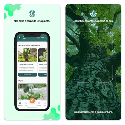 Aplicativos gratuitos para identificar plantas