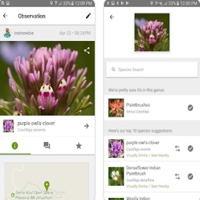 Aplicativos gratuitos para identificar plantas